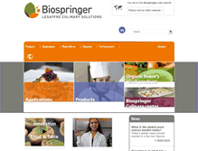 Tablet Screenshot of biospringer.com